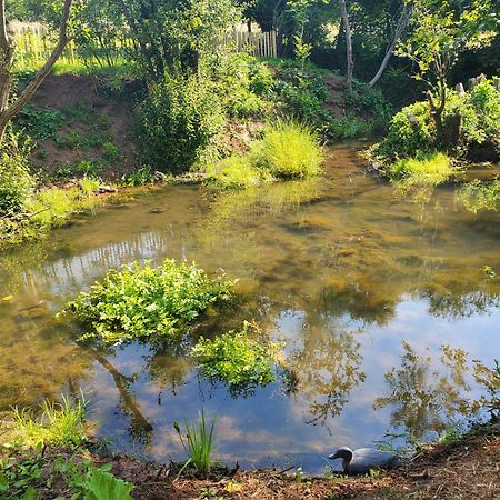Le Clos Des Sources Isigny-sur-Mer Eksteriør billede