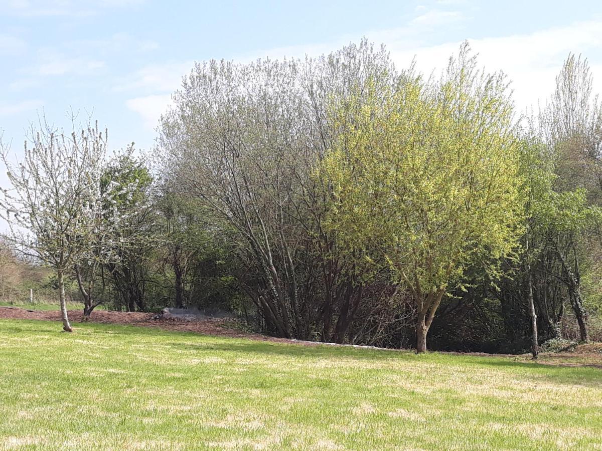 Le Clos Des Sources Isigny-sur-Mer Eksteriør billede